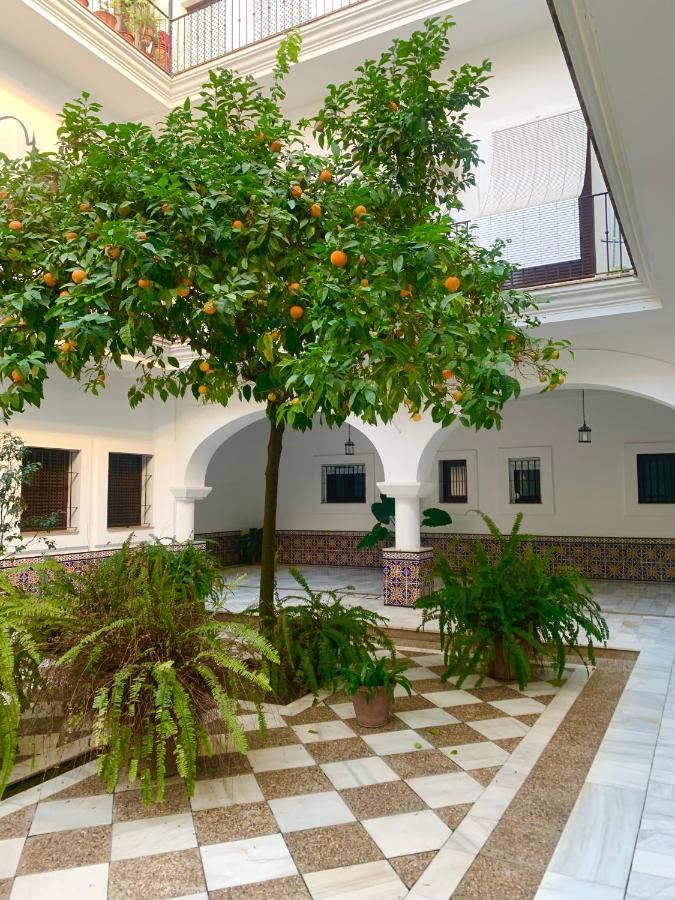 Gosol Lemon, Centro-parking Sanlucar de Barrameda